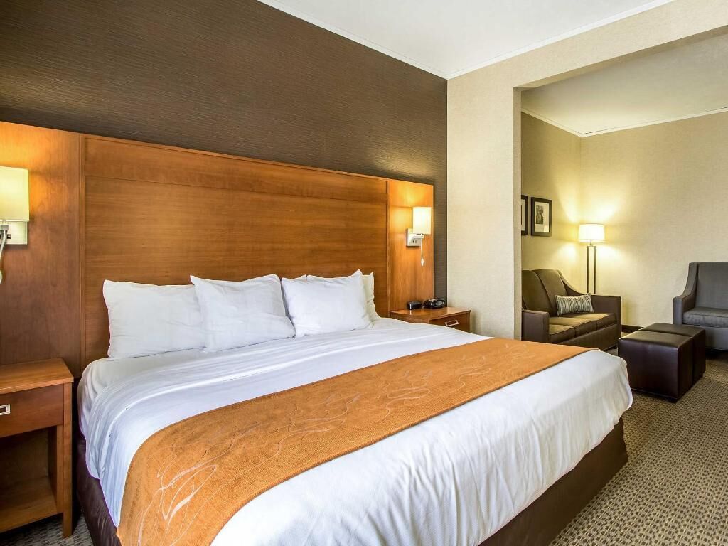 Premium bedding, laptop workspace, blackout curtains, soundproofing