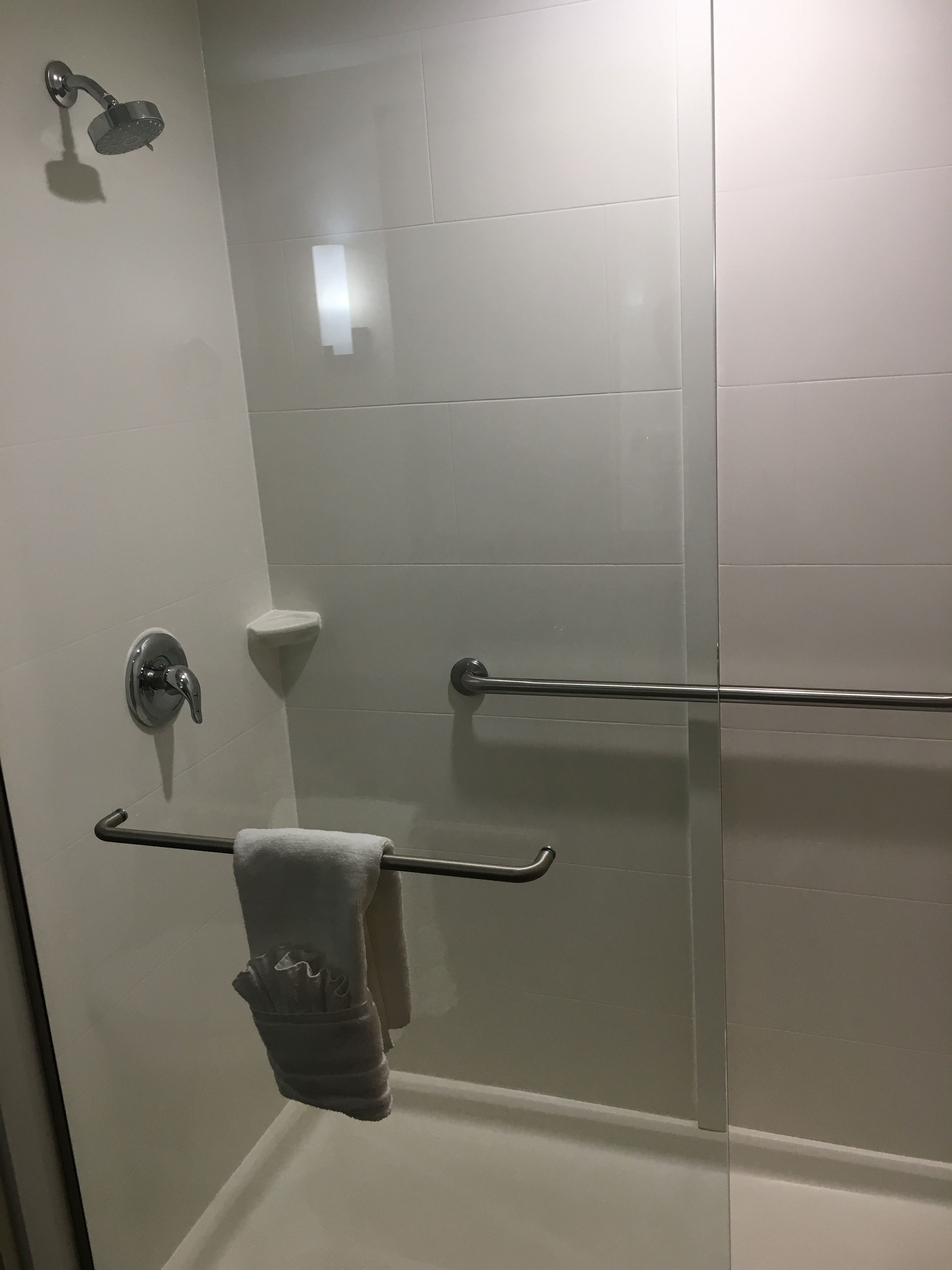 A shower area with a glass door, a towel rack with a towel, and a handheld showerhead.