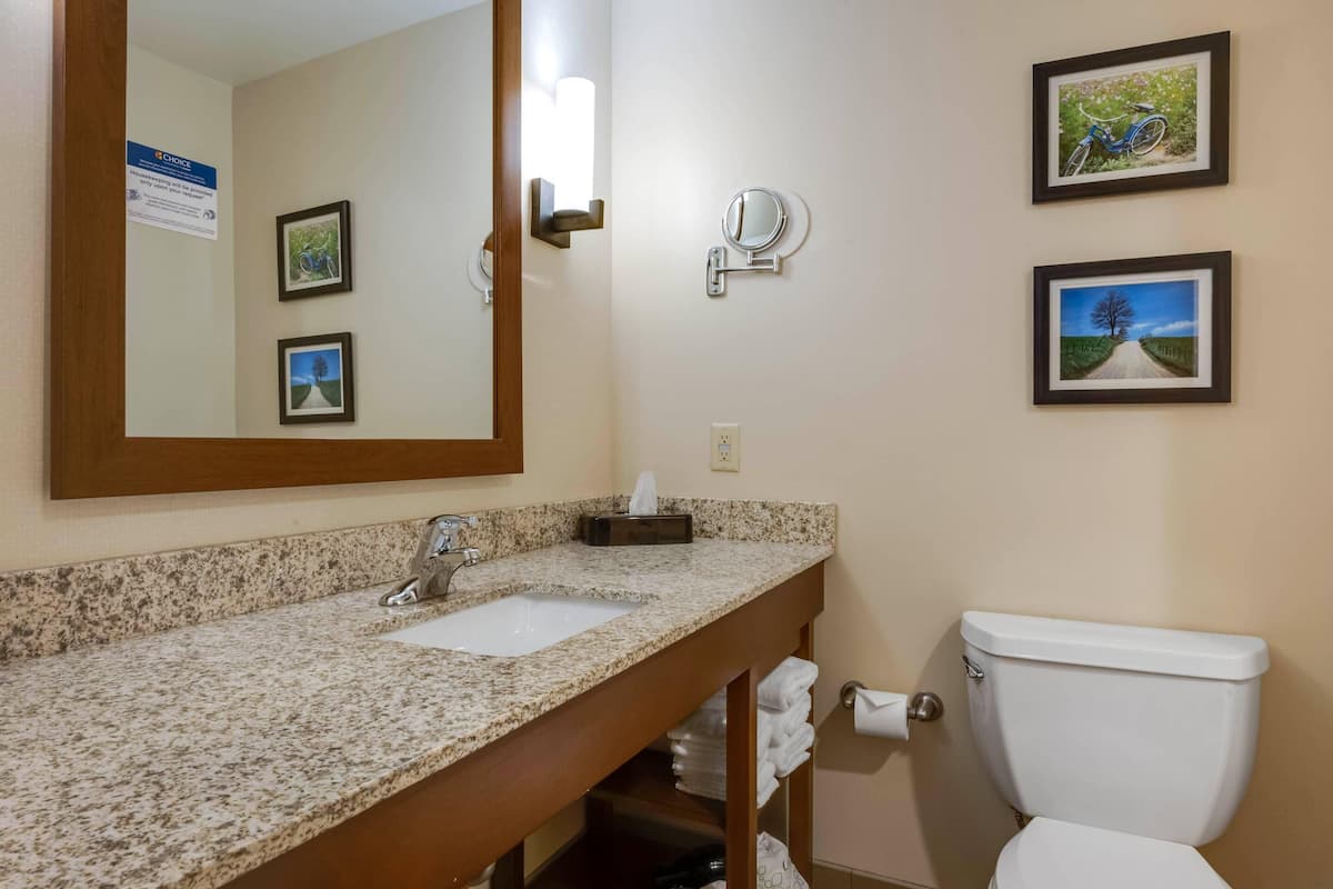 A bathroom with a granite countertop sink, a mirror, a toilet, and framed pictures on the wall.