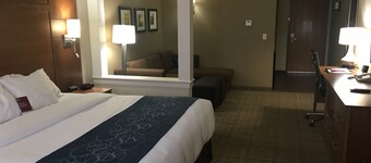 Comfort Suites Hotel and Conference Center