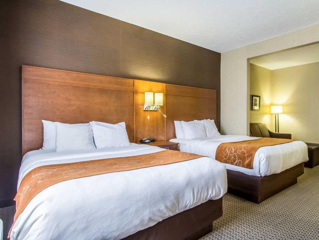 Premium bedding, laptop workspace, blackout curtains, soundproofing
