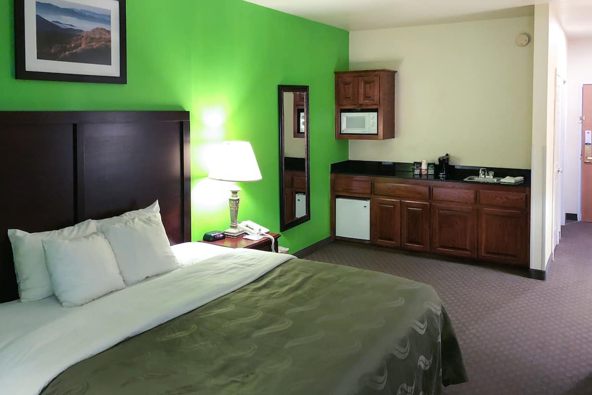 Suite, 1 King Bed with Sofa bed, Non Smoking | Blackout drapes, iron/ironing board, free cribs/infant beds, free WiFi