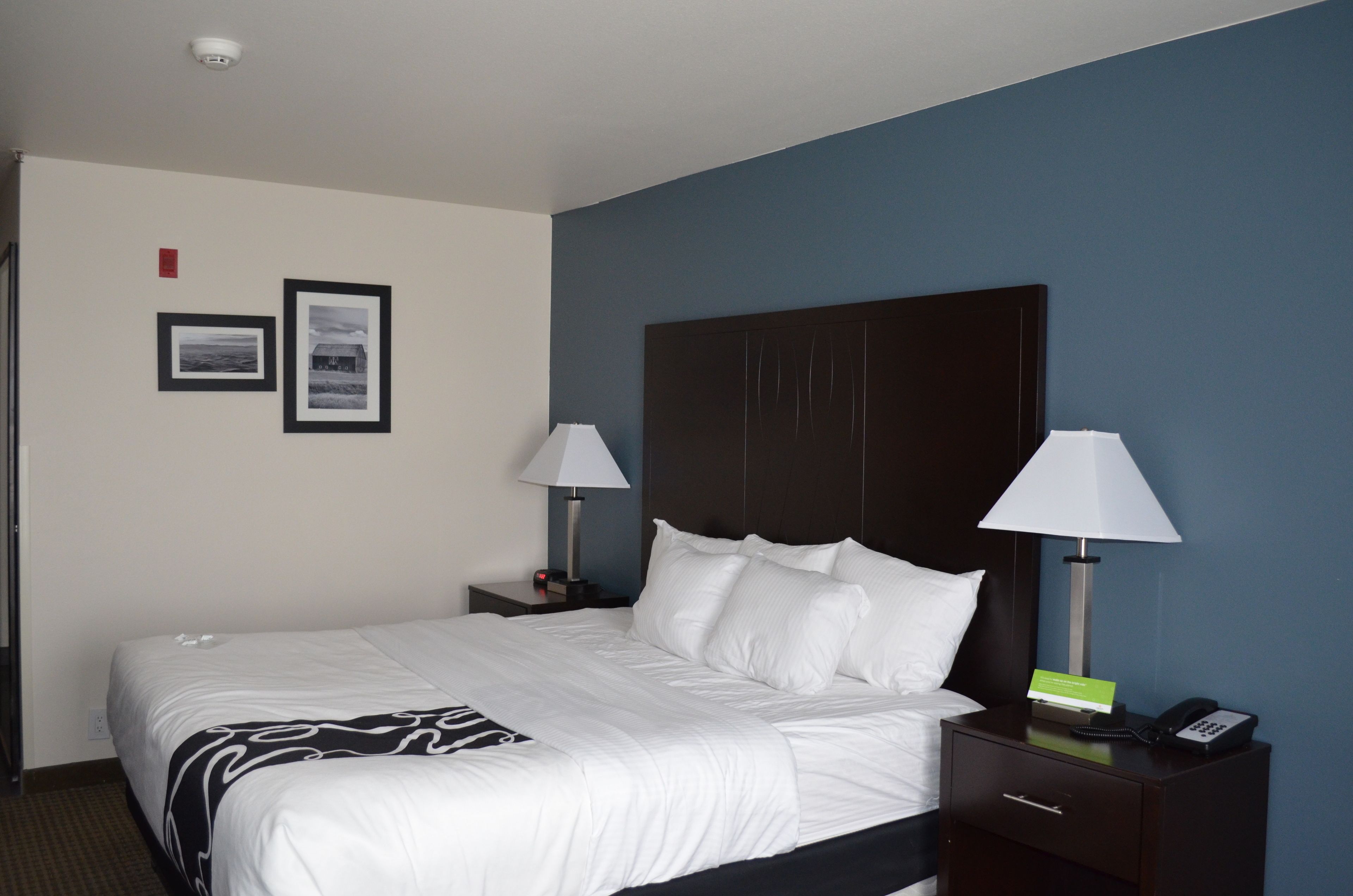 Quarto de hotel com uma cama grande, duas mesas de cabeceira com luminárias, um criado-mudo com telefone e duas quadros na parede.