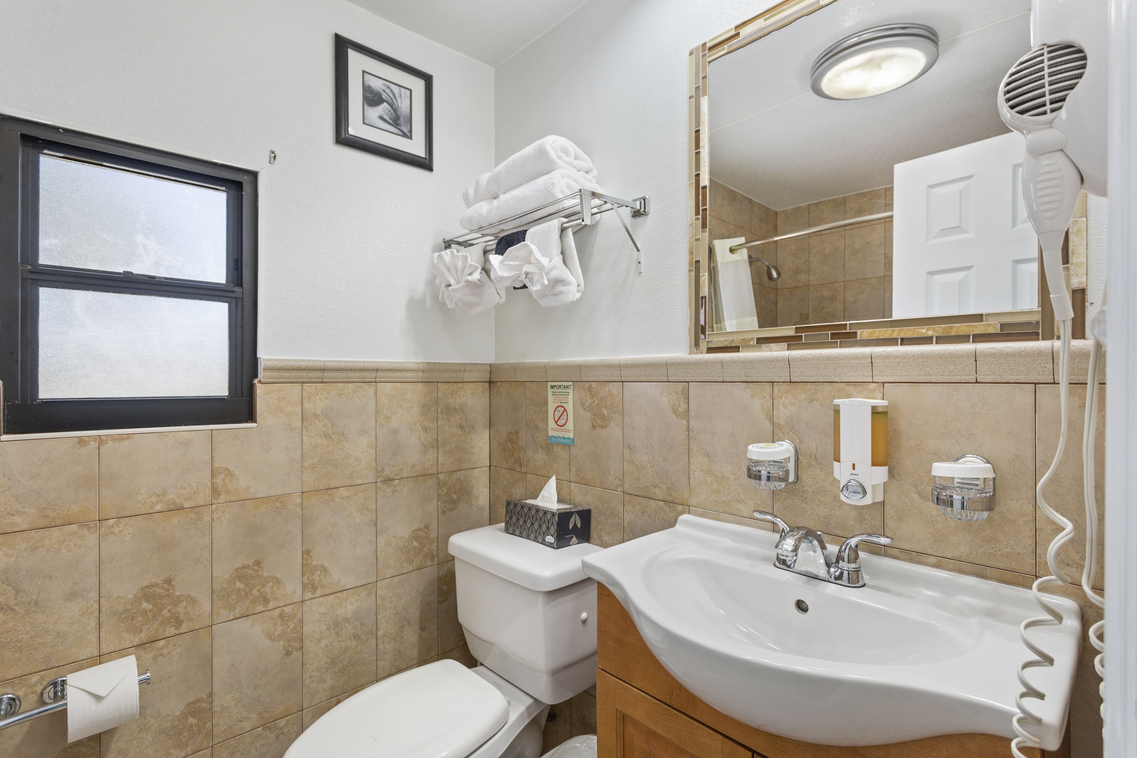 deluxe suite, 1 queen bed with sofa bed | bathroom | free toiletries, hair dryer, towels