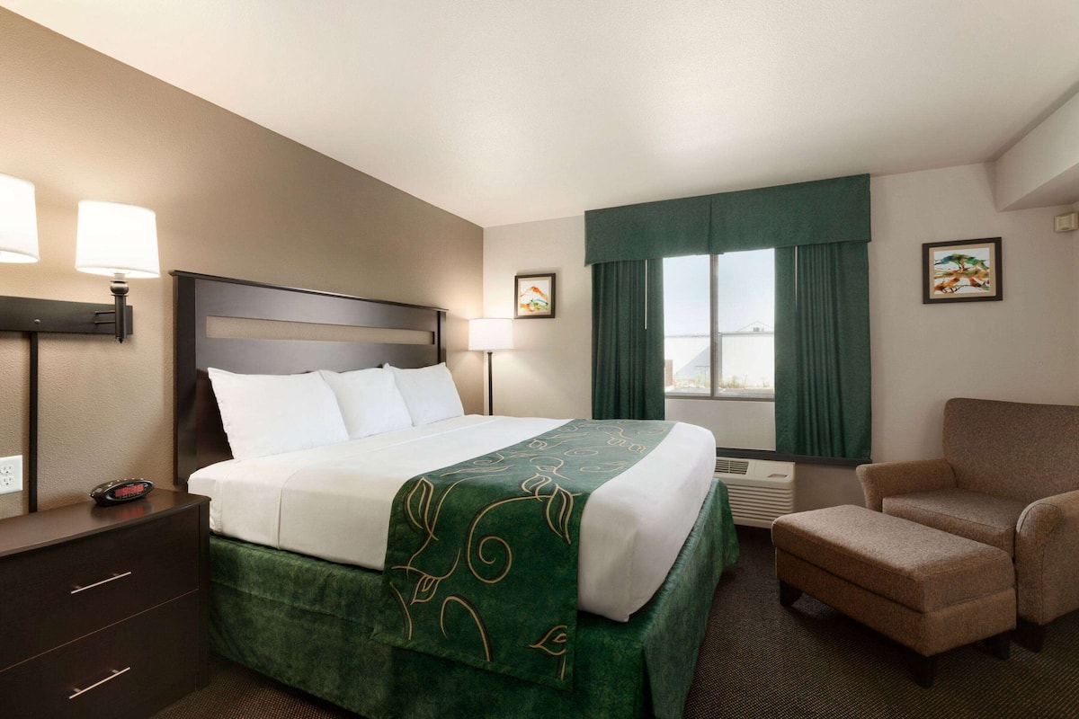 Room, 1 King Bed, Non Smoking | Desk, iron/ironing board, free cribs/infant beds, rollaway beds