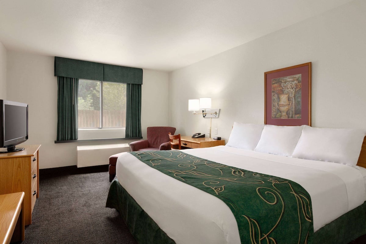 Room, 1 King Bed, Non Smoking | Desk, iron/ironing board, free cribs/infant beds, rollaway beds