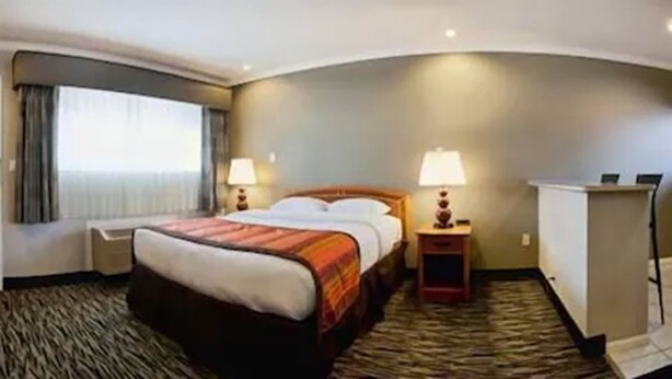 A hotel room with a large bed, two bedside tables with lamps, a television, and a view of the outdoors through a window. - Hotel Parmani (Palo Alto)