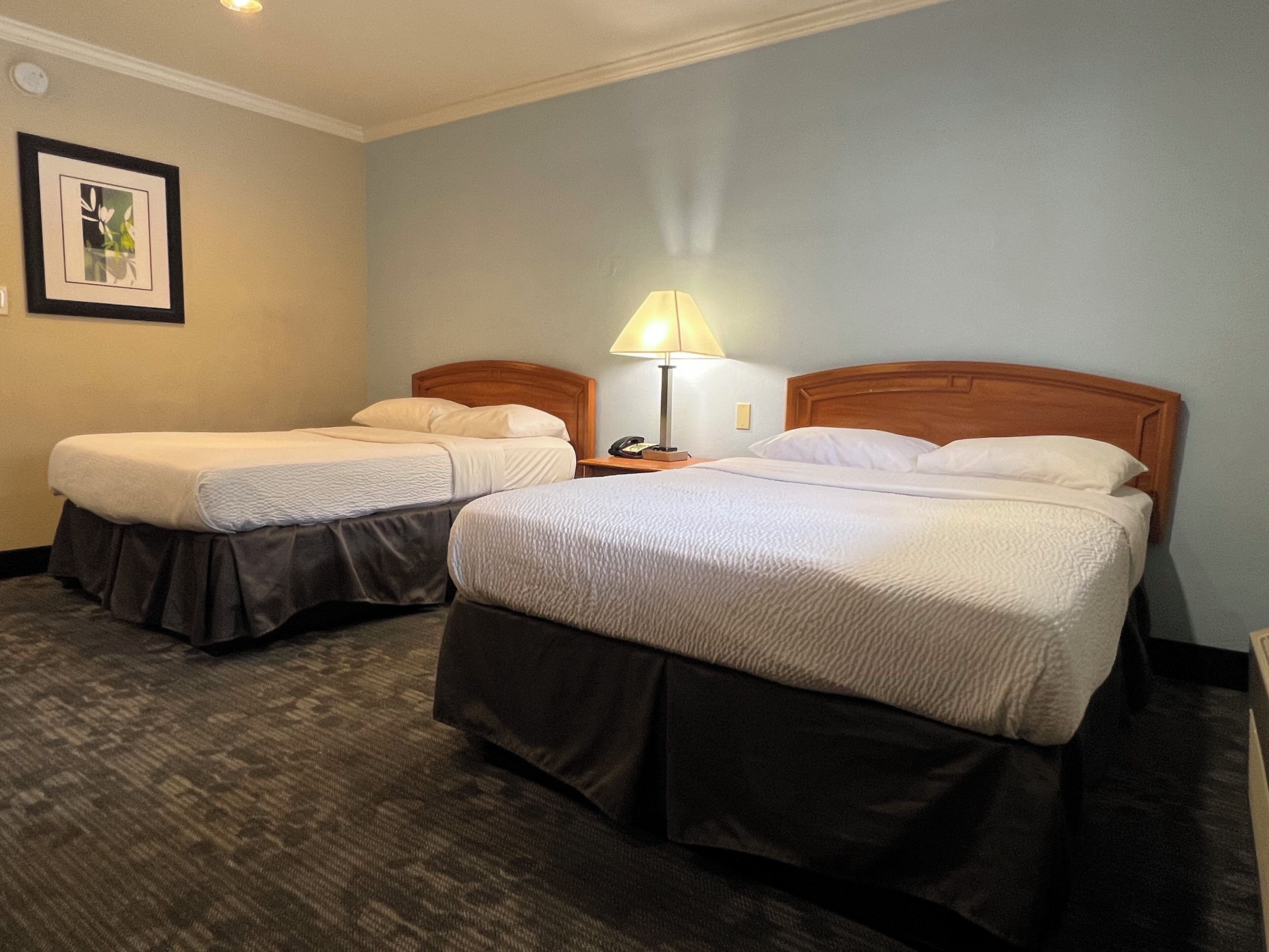 Una habitación de hotel con dos camas, una mesita de noche con lámpara y un cuadro en la pared.