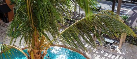 A swimming pool with a palm tree in the foreground and a building in the background.