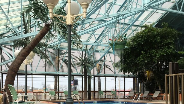 An indoor pool area with a glass ceiling, palm trees, and lounge chairs. - Wildwood Inn Tropical Dome & Theme Suites (Florence)