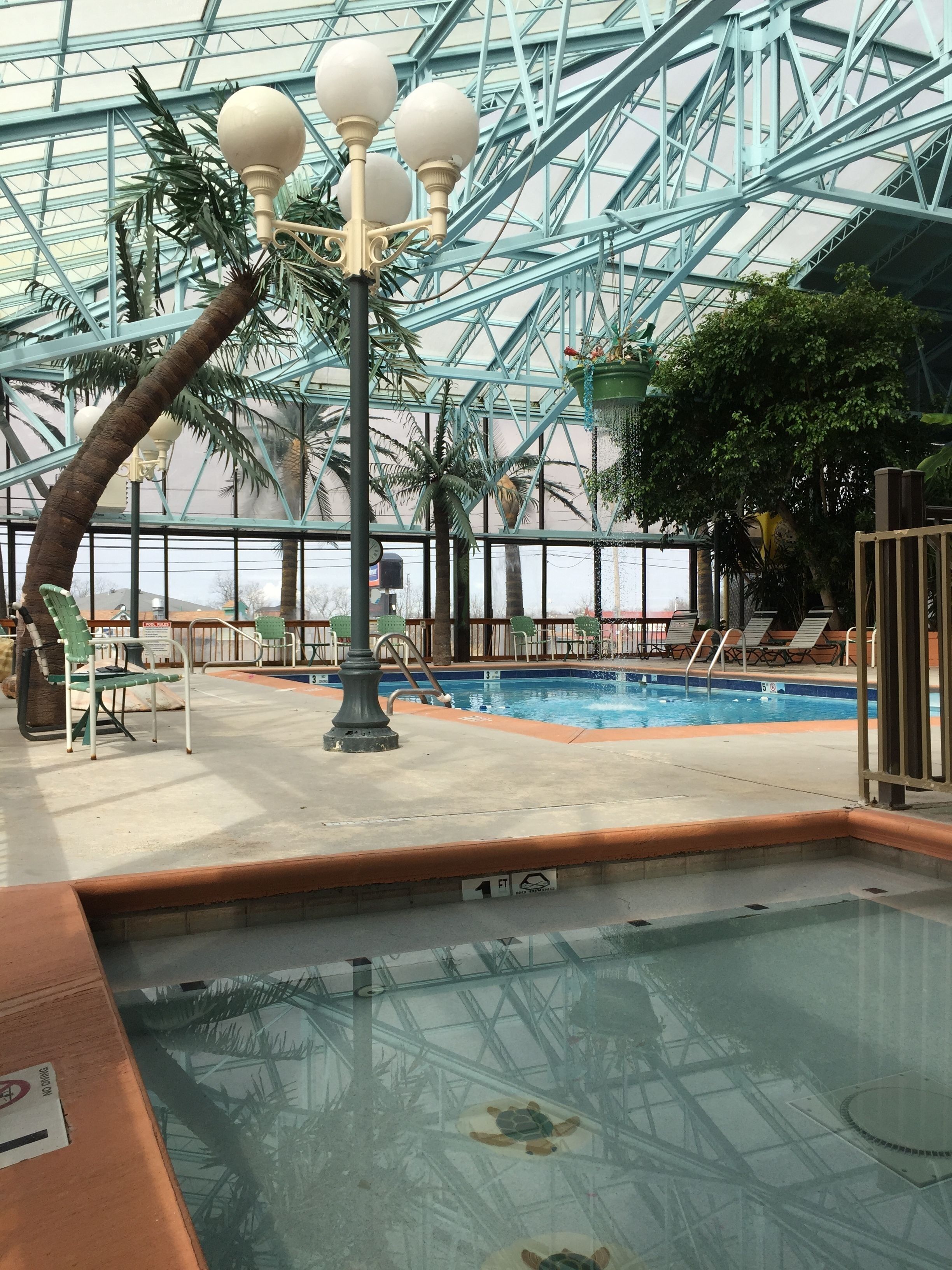 An indoor pool area with a glass ceiling, palm trees, and lounge chairs.