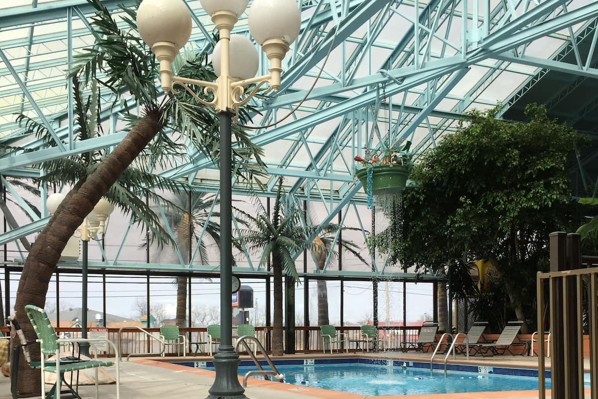 An indoor pool area with a glass ceiling, palm trees, and lounge chairs.