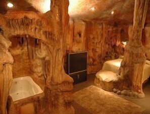 TV - Wildwood Inn Tropical Dome & Theme Suites (Florence)