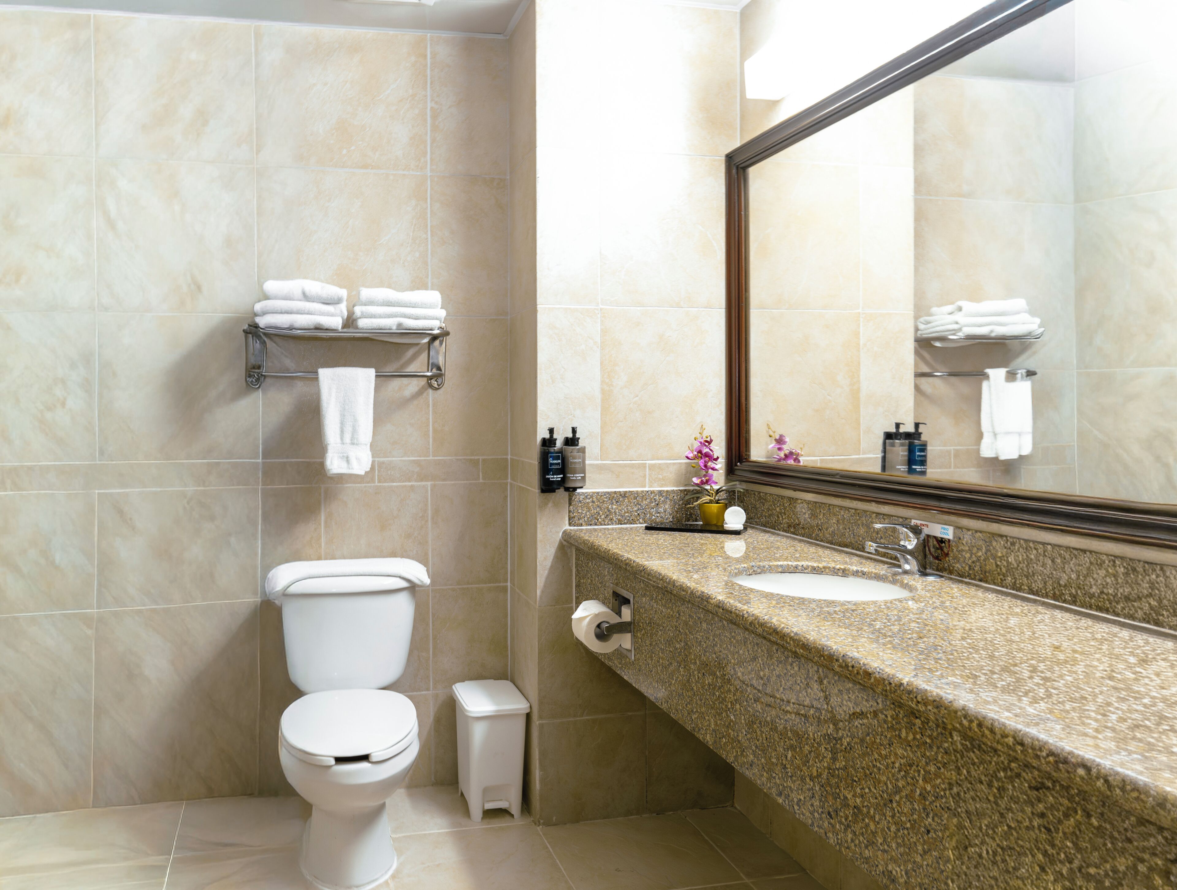 A bathroom with a toilet, sink, mirror, towel rack, and trash bin.