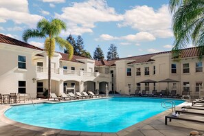 Outdoor pool, pool loungers - Hayes Mansion, San Jose - Curio Collection by Hilton (San Jose)