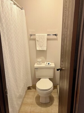 Free toiletries, hair dryer, towels