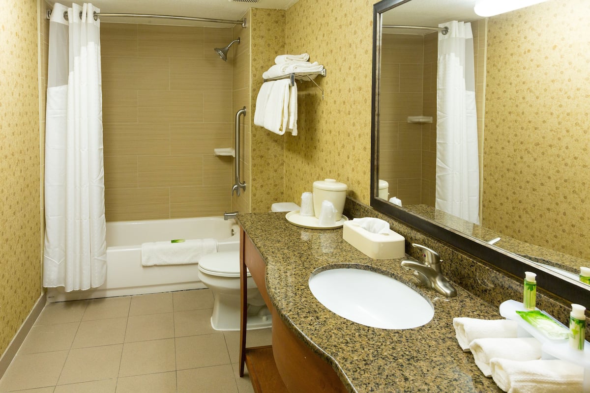 Bañera con ducha, artículos de tocador de diseñador, secador de pelo