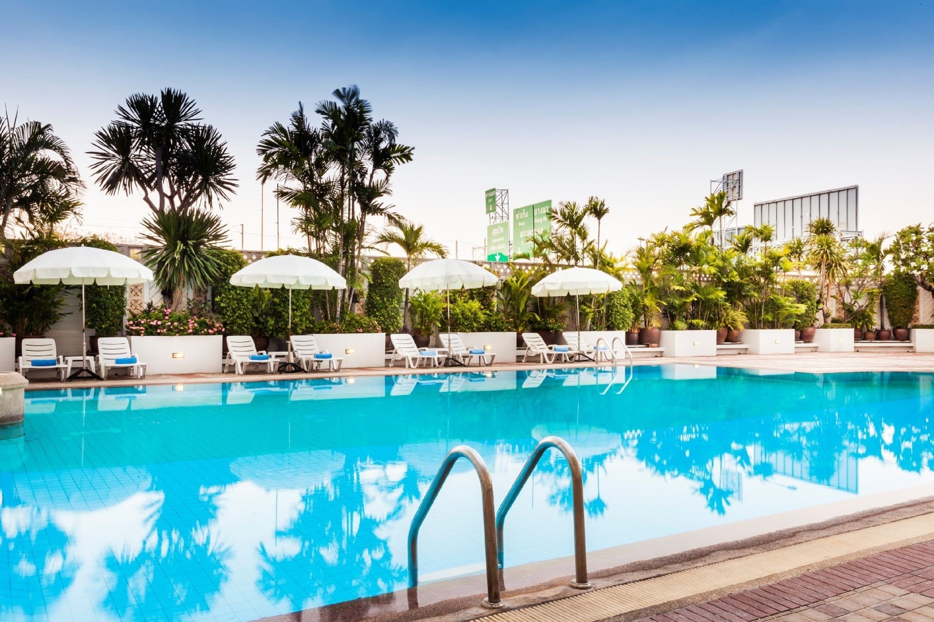 A swimming pool with lounge chairs and umbrellas, surrounded by palm trees and greenery.