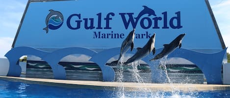 A sign for Gulf World Marine Park with dolphins jumping out of the water.