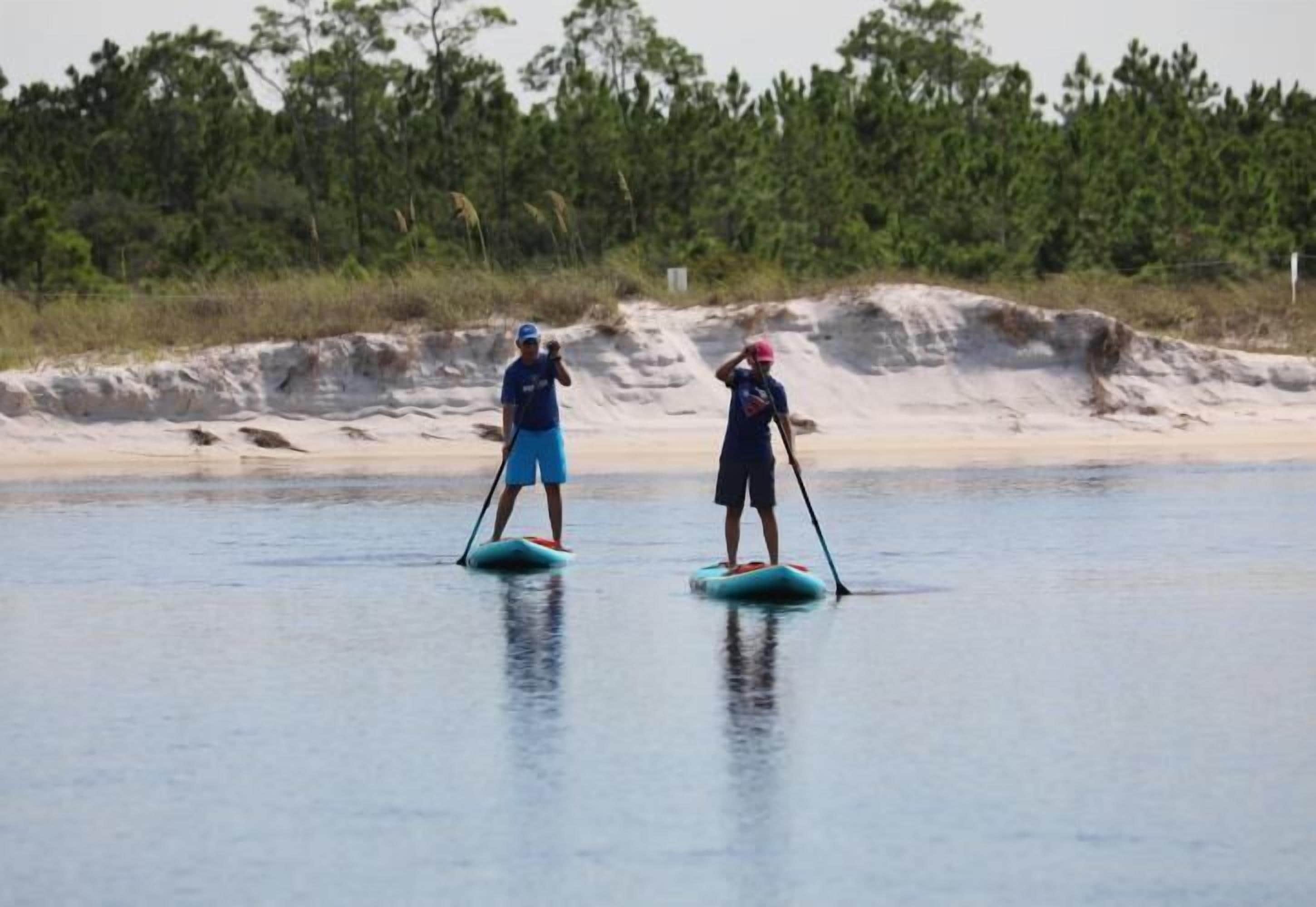 Dos personas haciendo paddleboard sobre aguas tranquilas, con una playa arenosa y abundante vegetación al fondo.