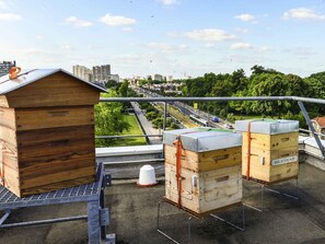 Miscellaneous - Hôtel ibis Orly Chevilly Tram 7 (Chevilly-Larue)