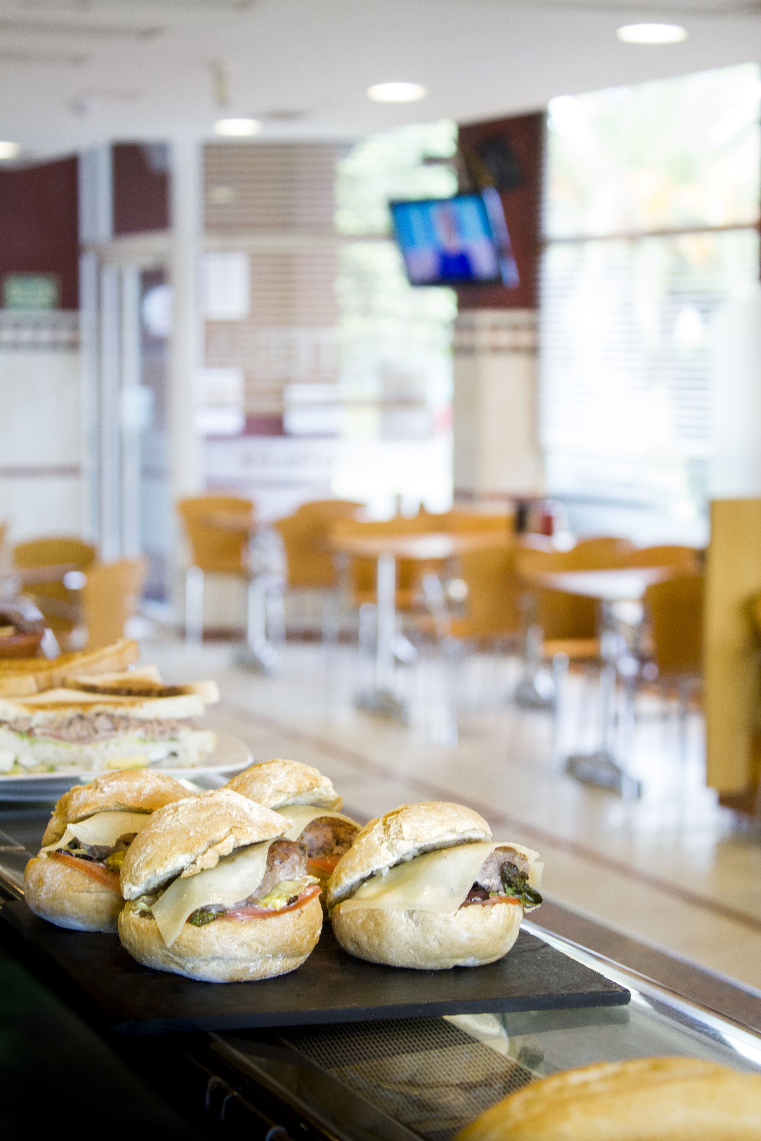 Foto - Zenit Logroño