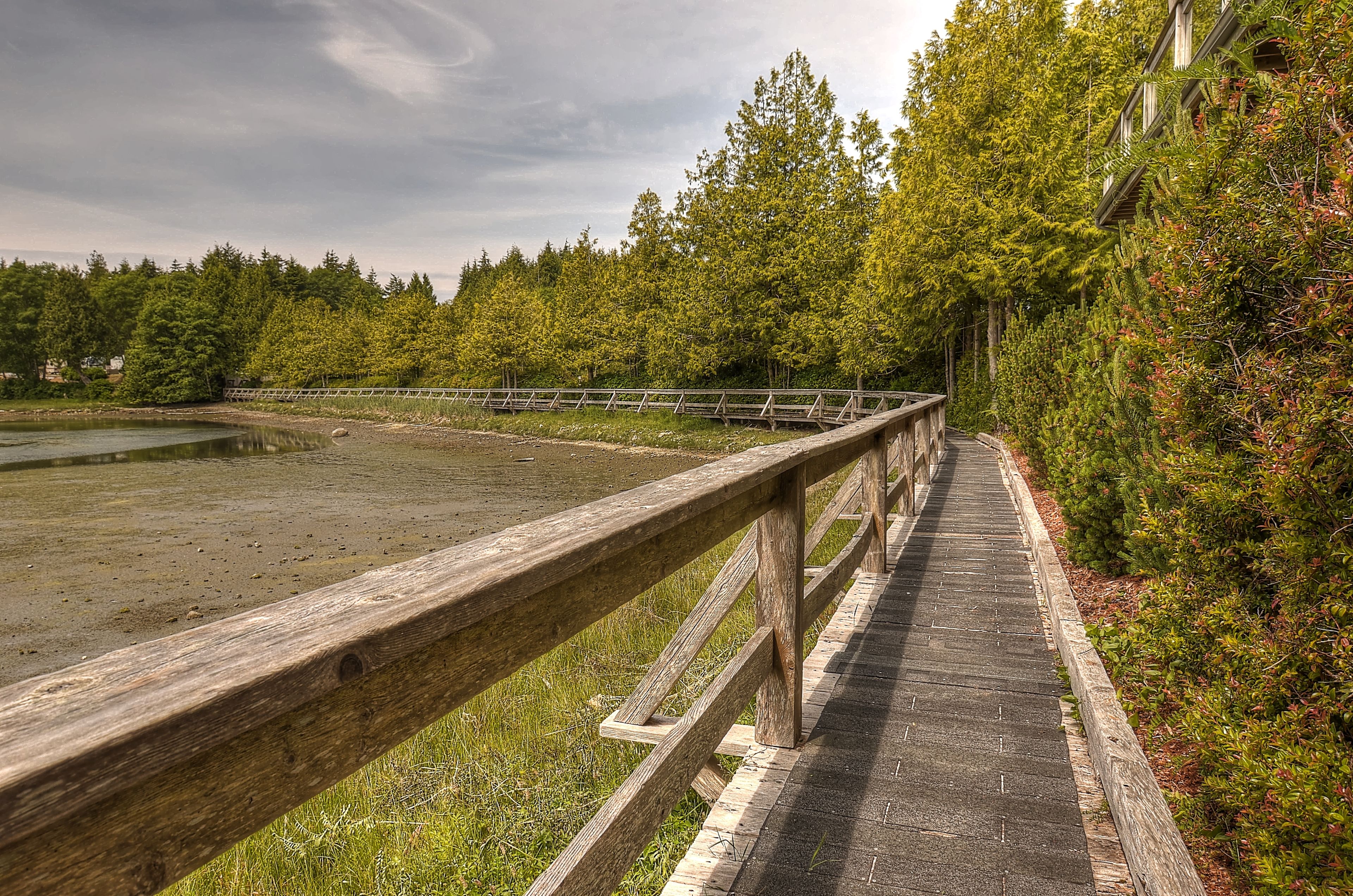 A wooden boardwalk along a lake with a wooden fence and dense trees in the background.