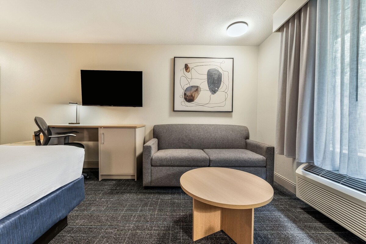 Business Room, 1 King Bed, Non Smoking | Premium bedding, laptop workspace, iron/ironing board