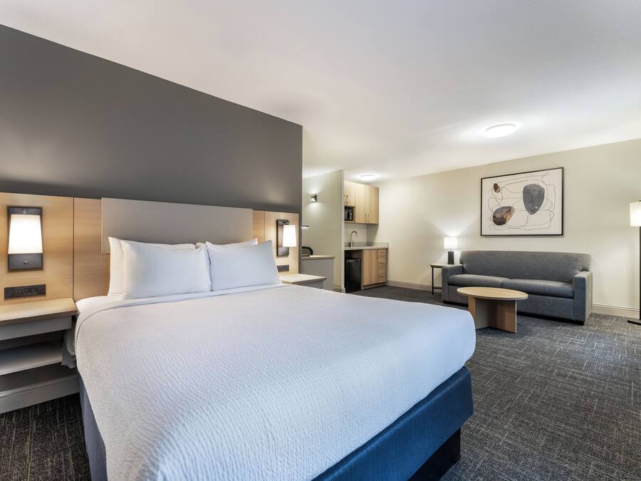 Executive Room, 1 Queen Bed, Non Smoking | Premium bedding, laptop workspace, iron/ironing board, free WiFi