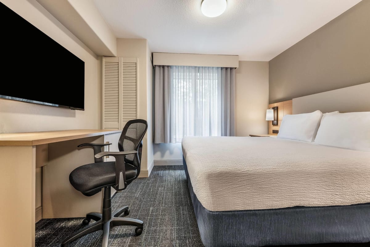Executive Suite, 1 King Bed, Non Smoking | Premium bedding, laptop workspace, iron/ironing board, WiFi (free)