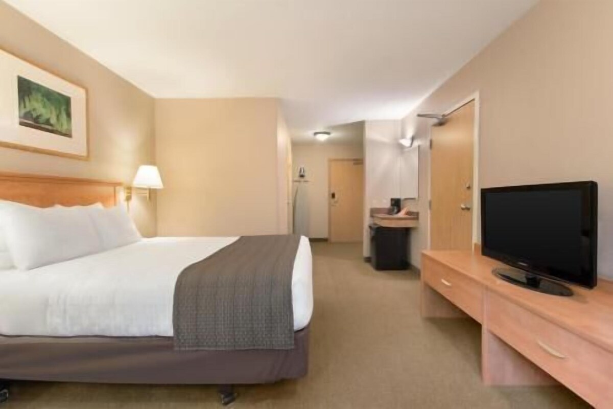 Une chambre d’hôtel avec un lit, une télévision, un bureau et une porte.