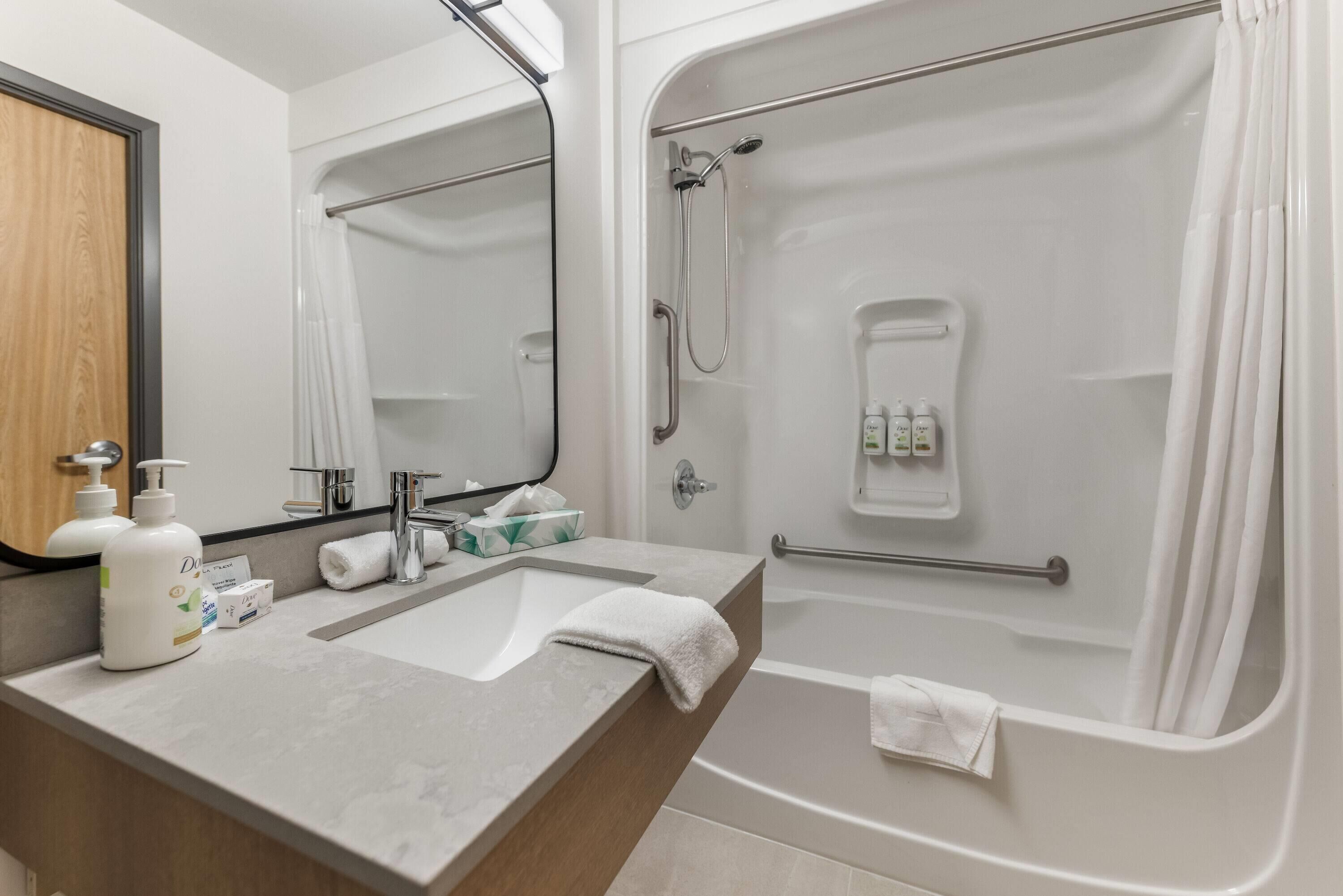 Business Room, 1 King Bed, Non Smoking | Bathroom | Combined shower/tub, free toiletries, hair dryer, towels