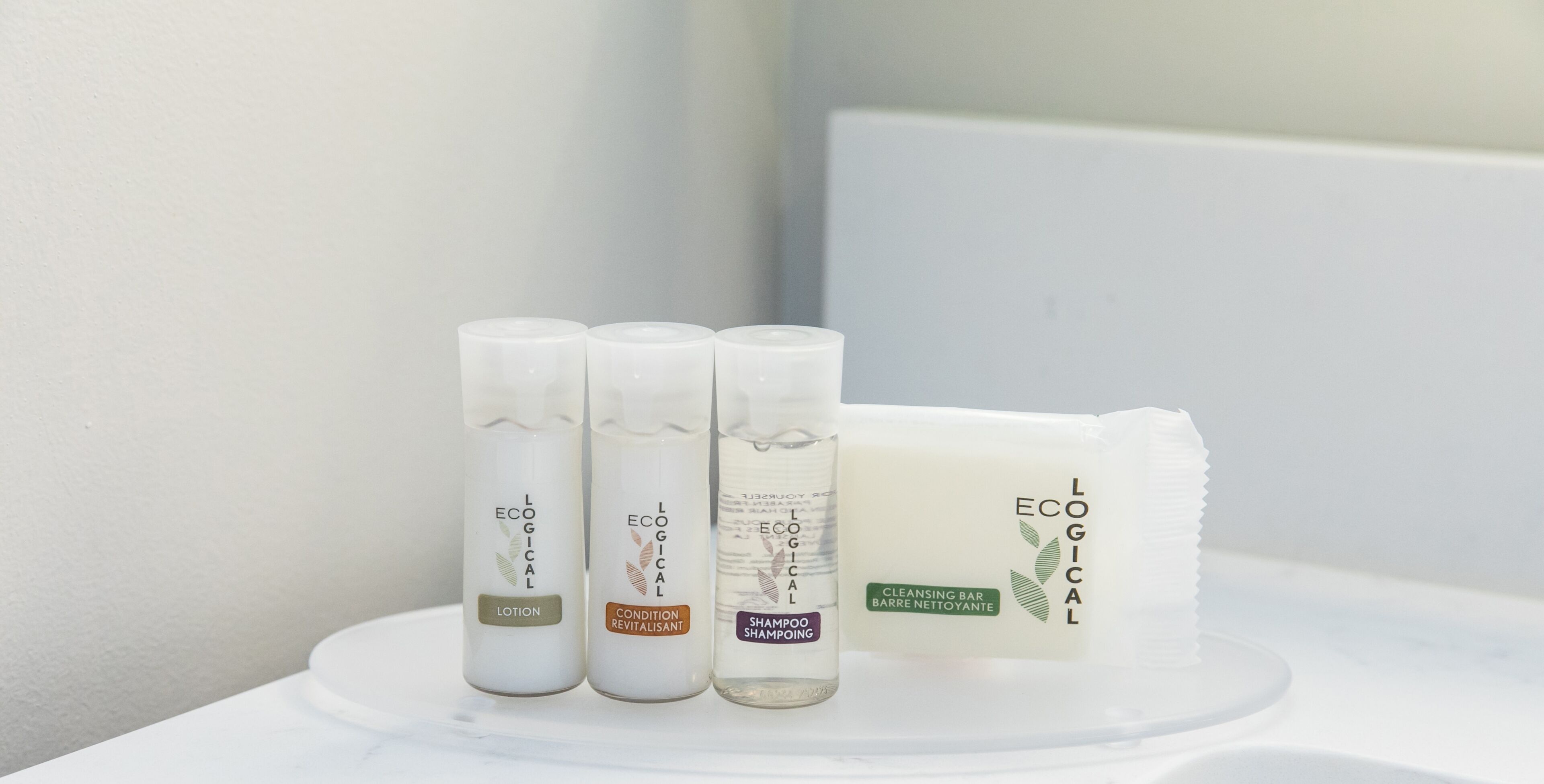 combined shower/bathtub, free toiletries, hair dryer, towels