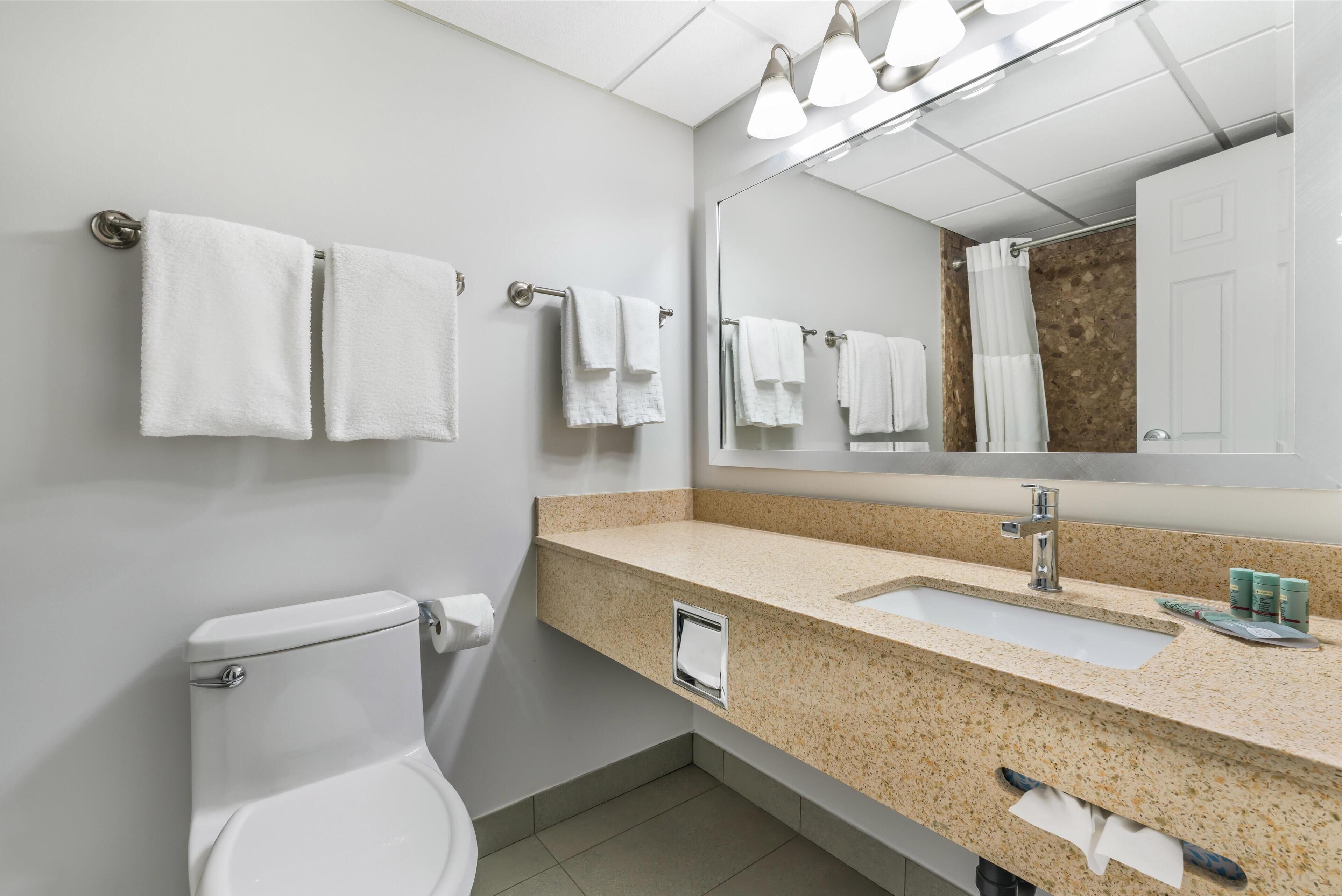 standard room, 1 king bed, non smoking | bathroom | combined shower/bathtub, free toiletries, hair dryer, towels