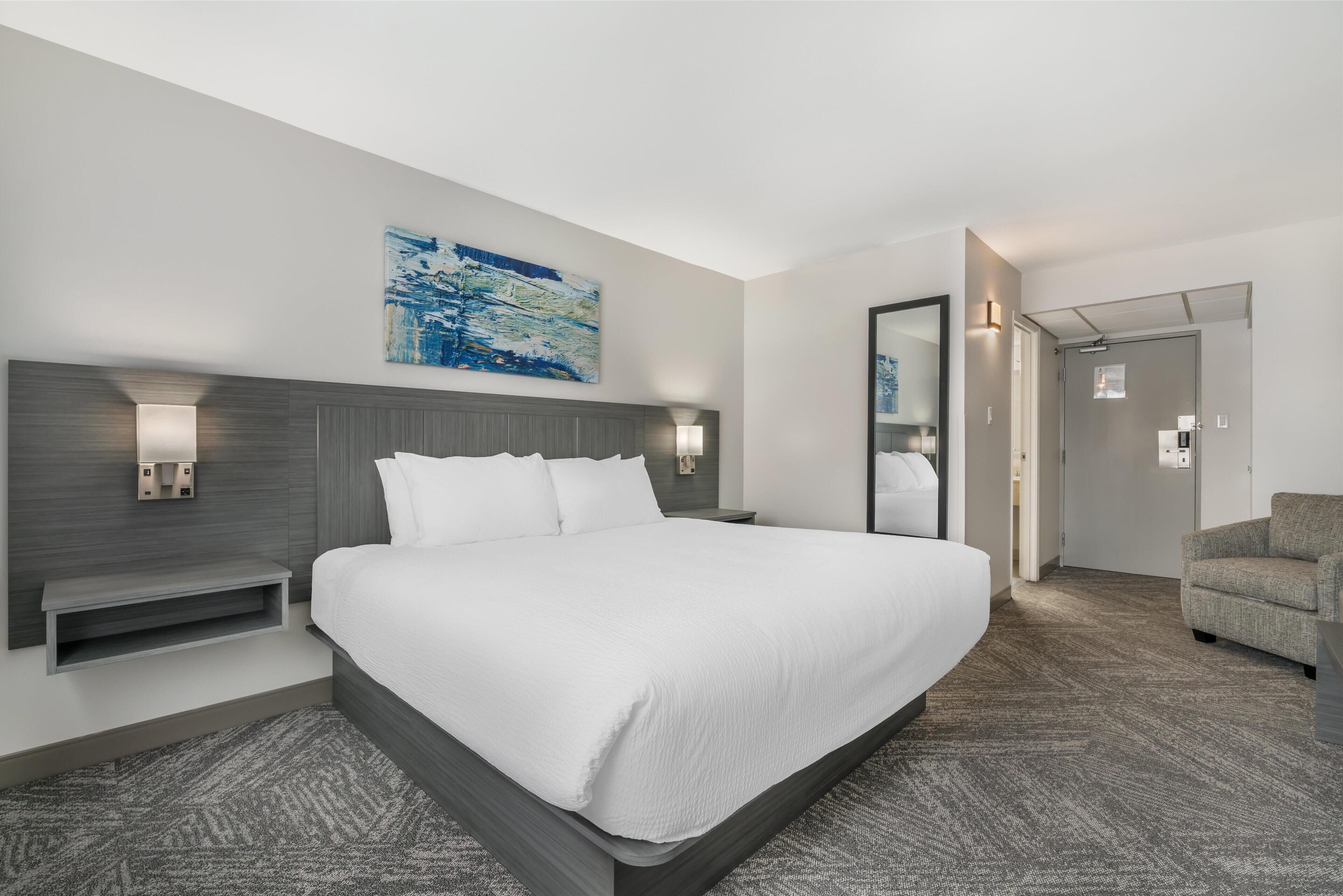 Habitación estándar, 1 cama King size, para no fumadores | Ropa de cama de alta calidad, edredón, escritorio y cortinas blackout 