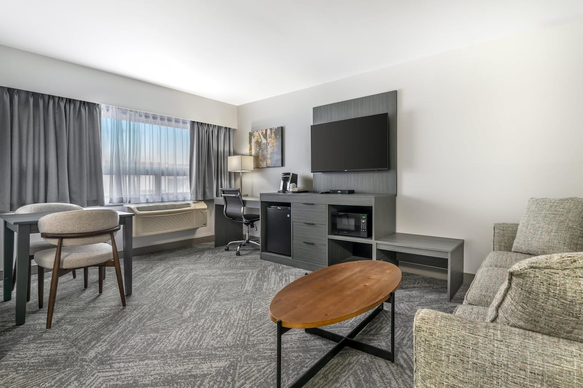 Standard Room, 1 King Bed, Non Smoking (with Single Sofabed;Larger Room)