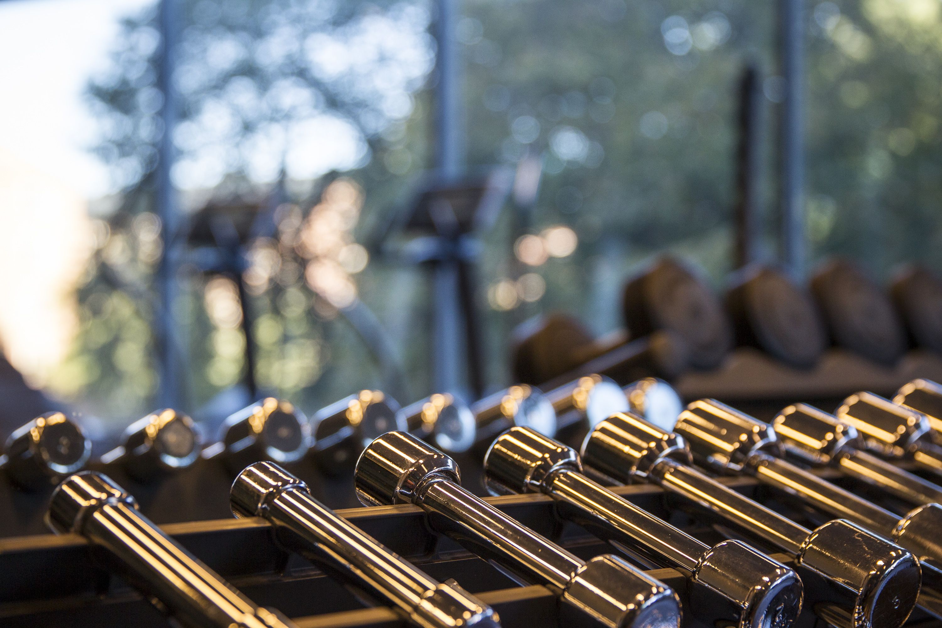 A row of shiny, metallic dumbbells on a rack, with a blurred background of trees and a window.