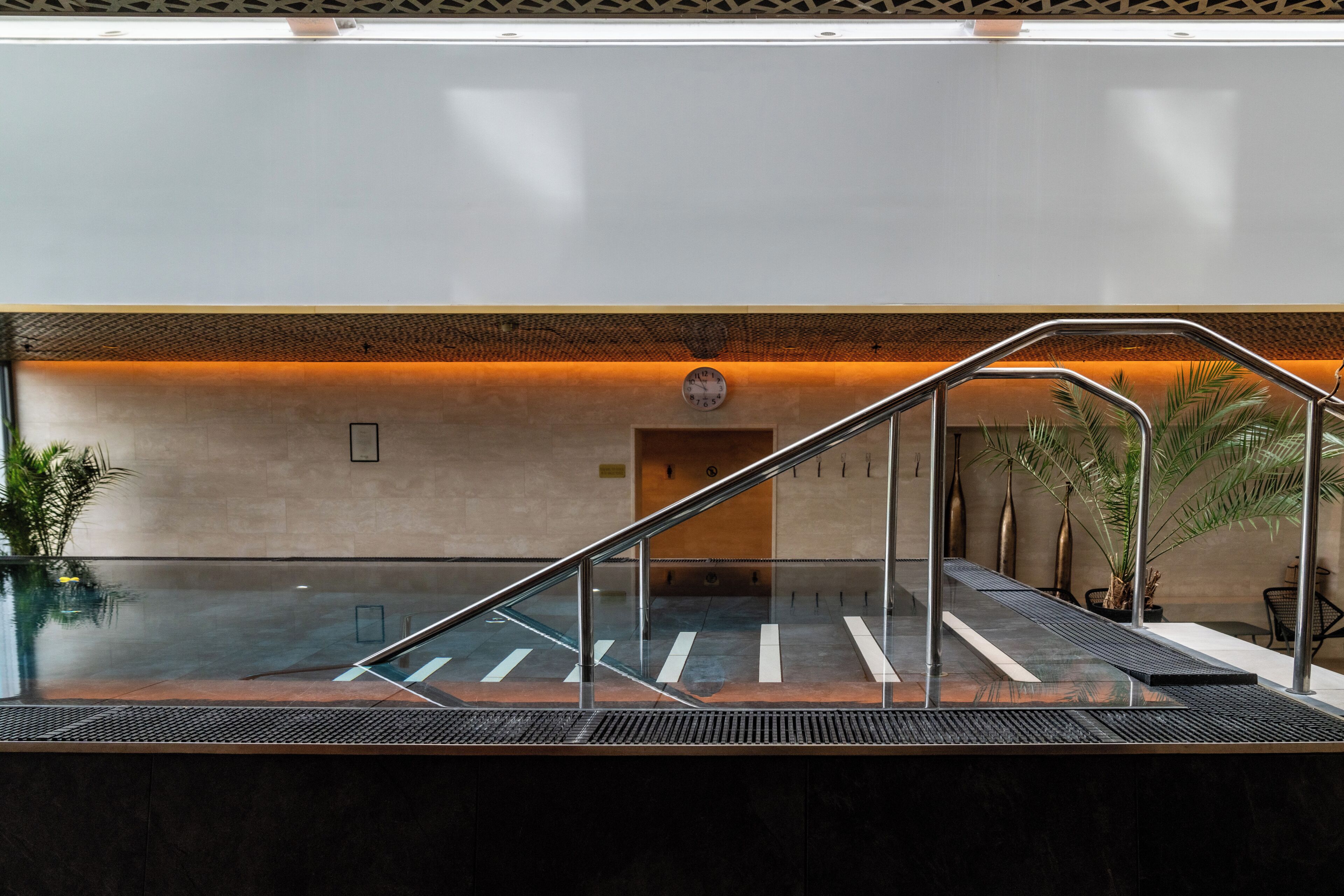 A modern indoor pool area with a glass barrier, a clock, and a palm plant.