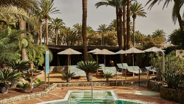A pool area with lounge chairs and umbrellas, surrounded by palm trees and a stone wall. - Seaside Palm Beach (San Bartolomé de Tirajana)