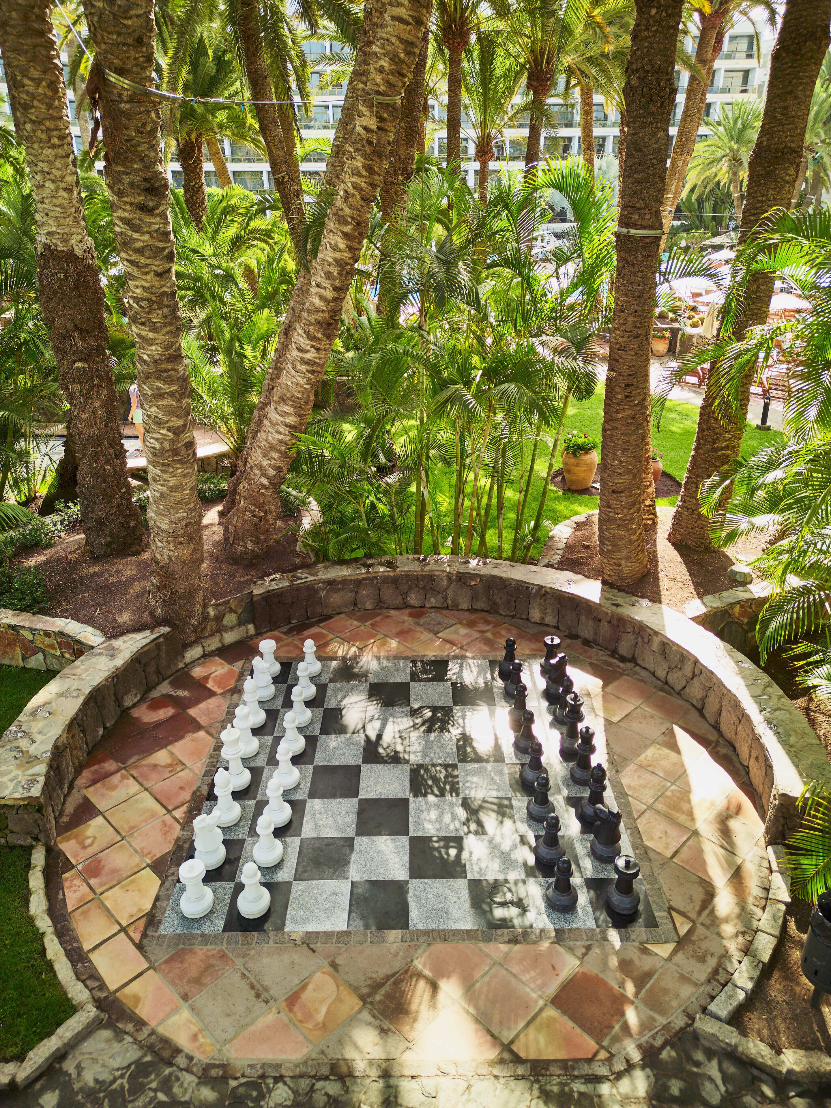 Un tablero de ajedrez dispuesto al aire libre, rodeado de palmeras y follaje.
