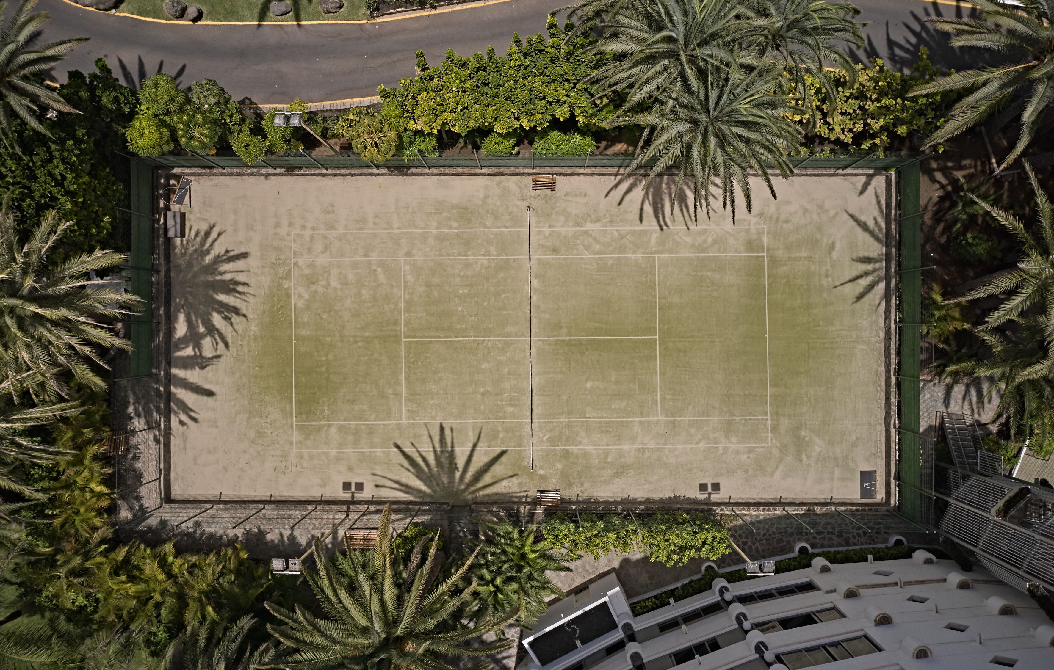 Vista aèria d'una pista de tennis envoltada de palmeres i vegetació.