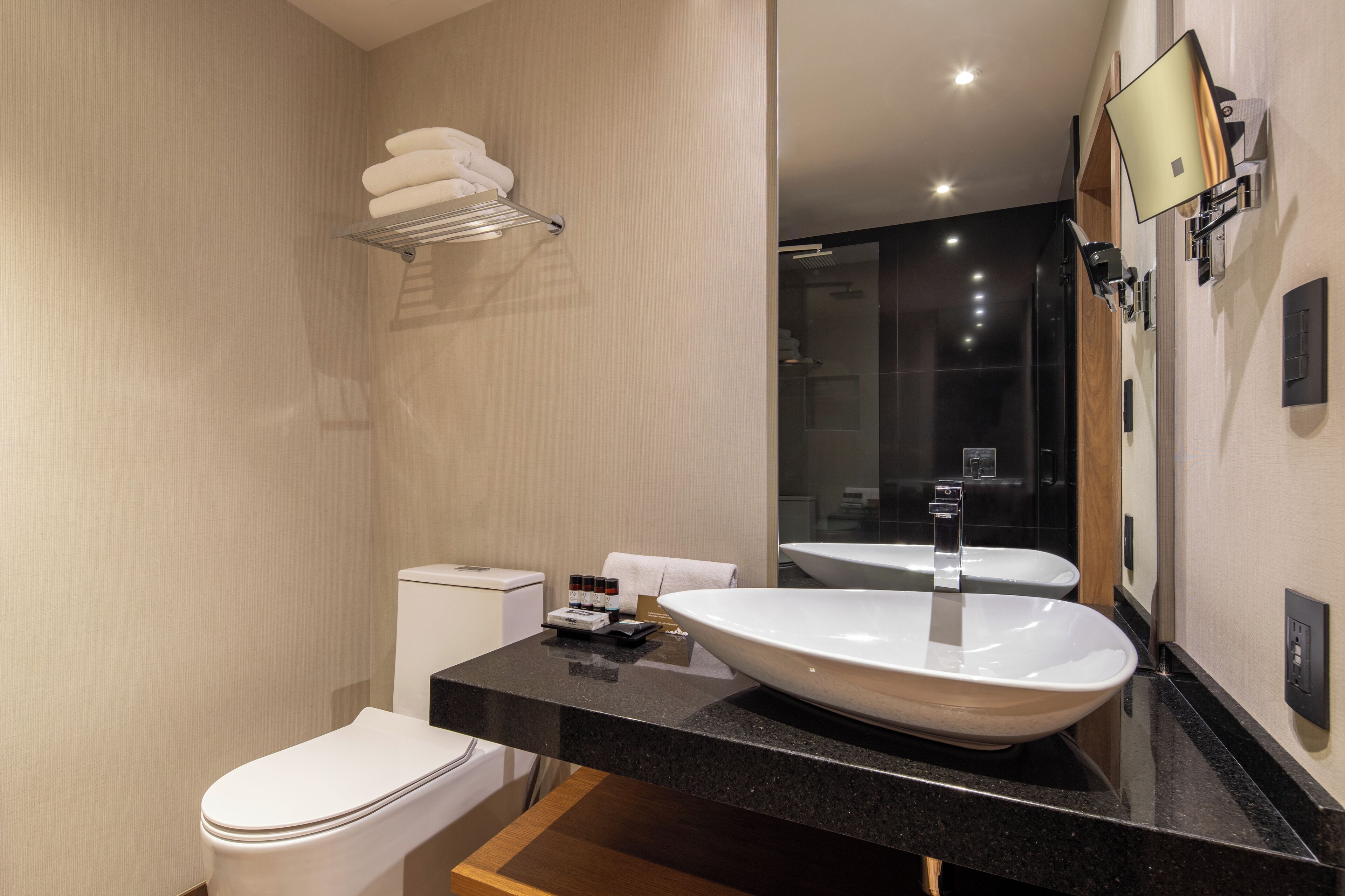 shower, free toiletries, hair dryer, towels