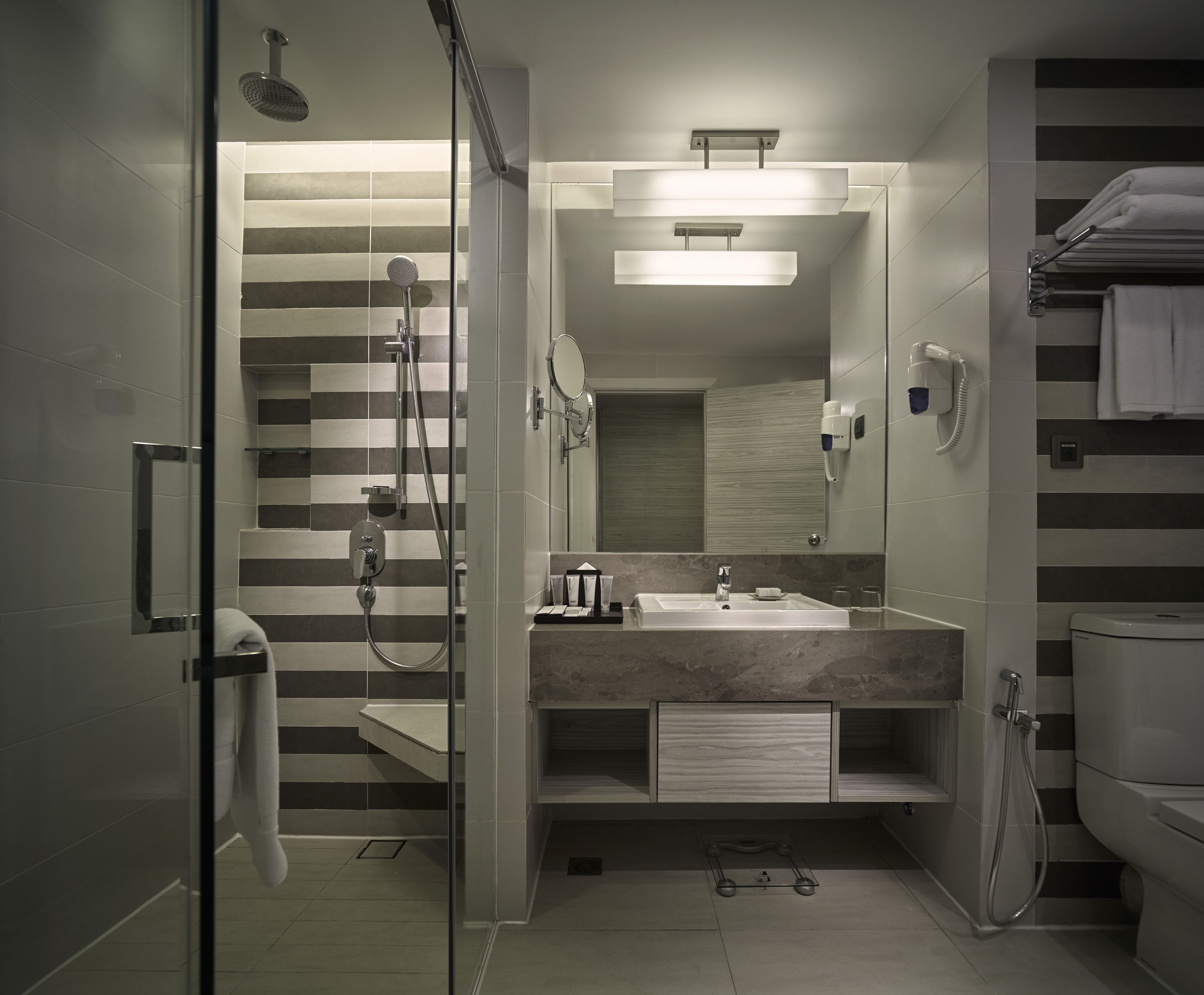 A modern bathroom with a glass shower enclosure, a vanity with a mirror, and a toilet.