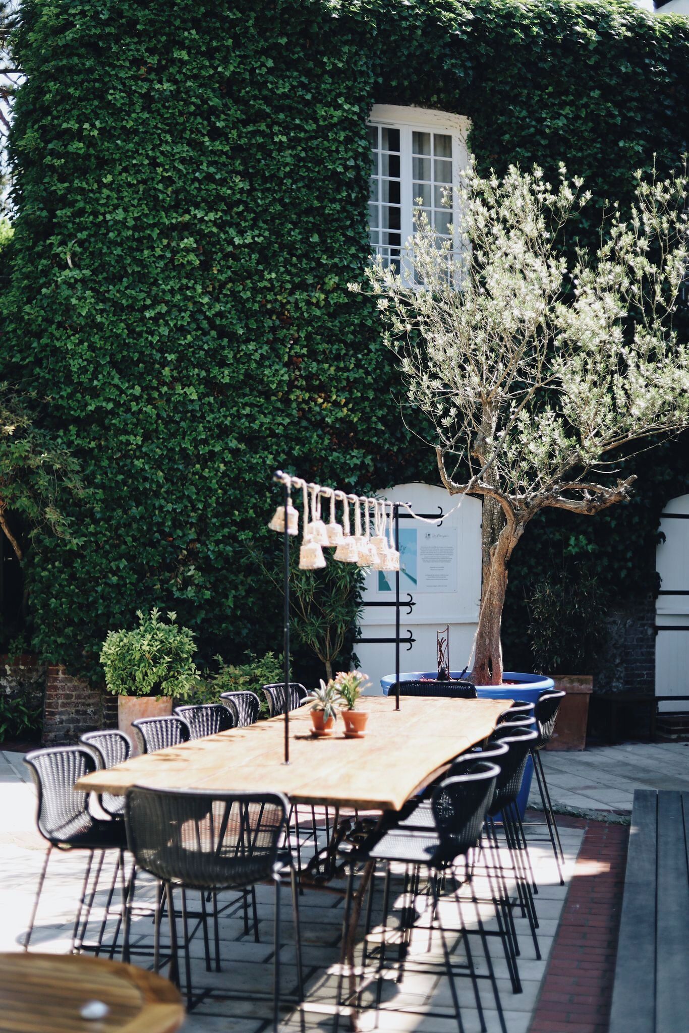 An outdoor dining area with a wooden table and chairs, surrounded by greenery and a tree.