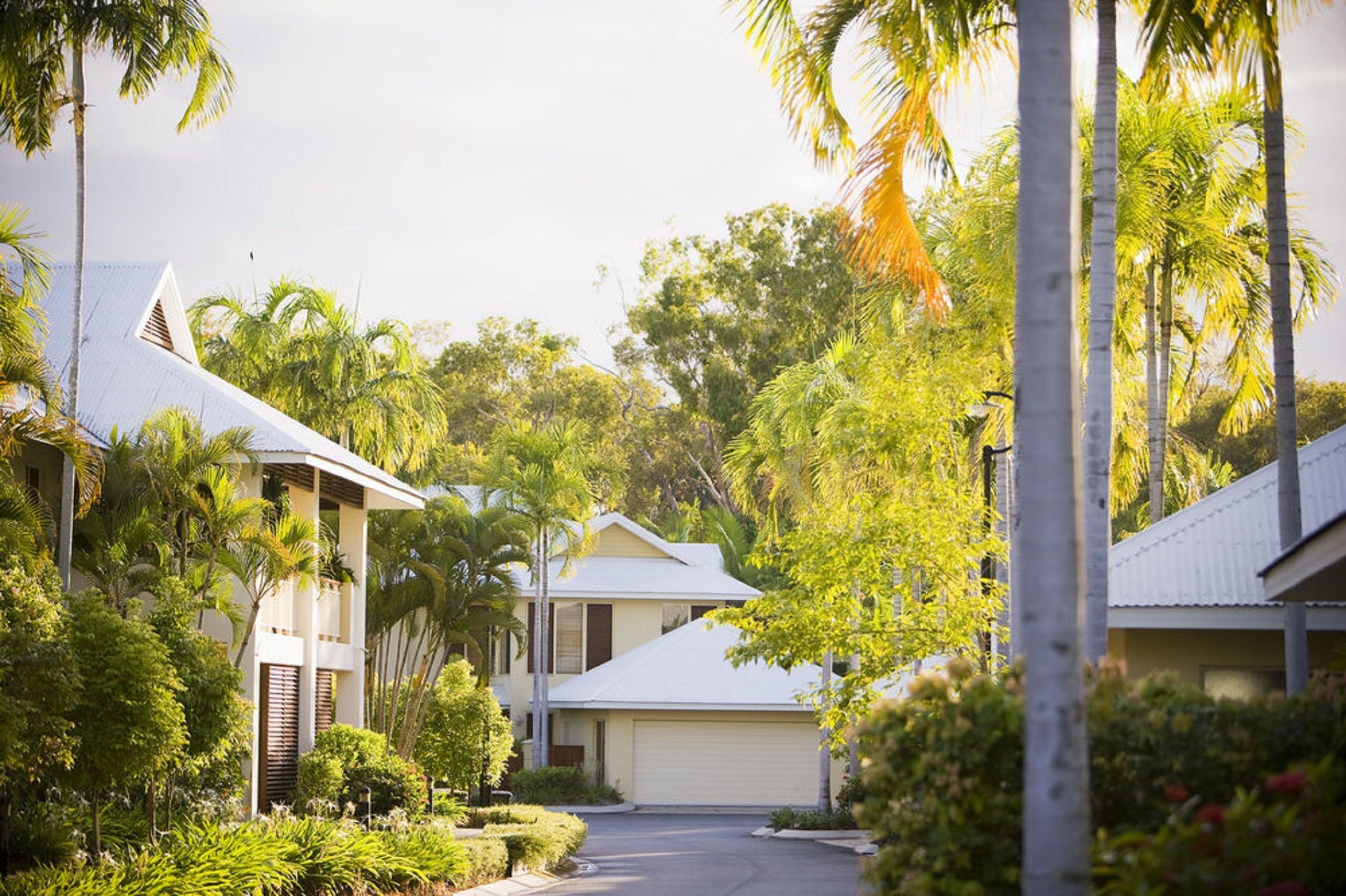 A residential street lined with houses, surrounded by lush greenery and palm trees.