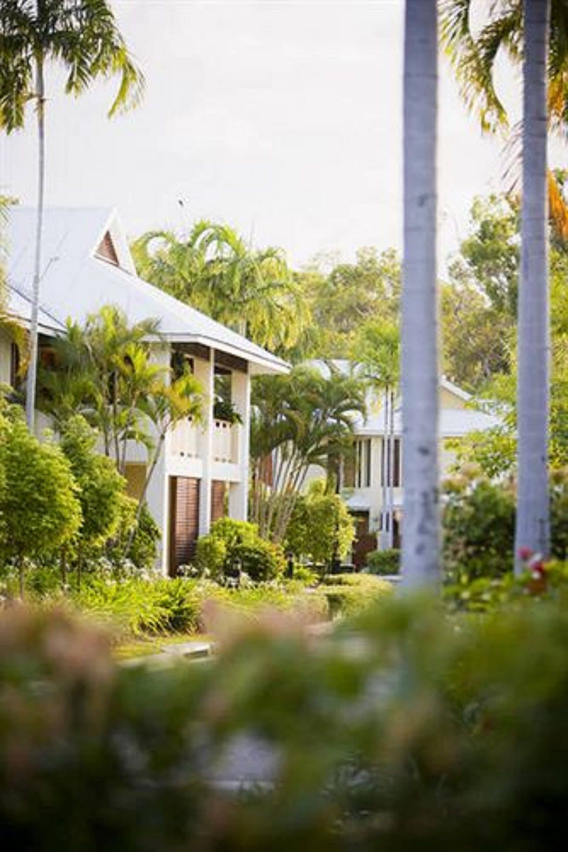 A resort with multiple bungalow-style buildings surrounded by lush greenery and palm trees.