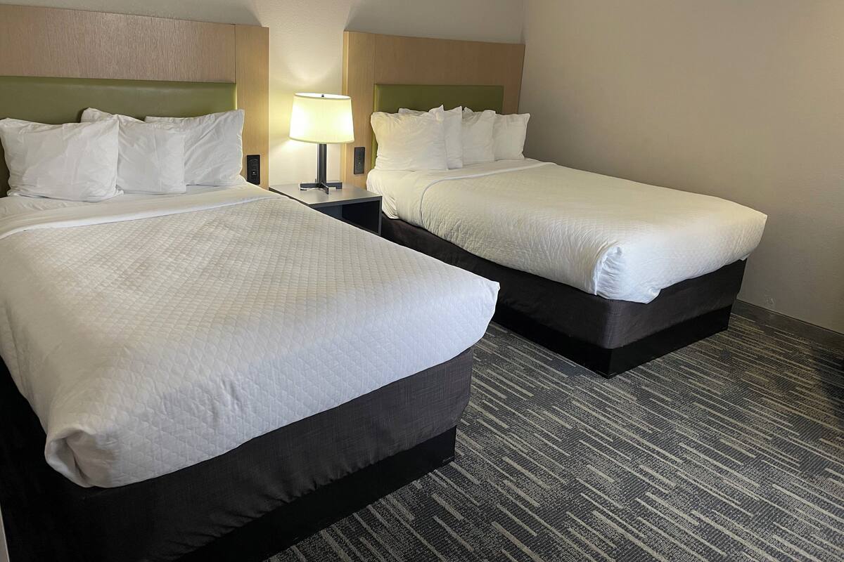 Two single beds with white linens, a nightstand with a lamp, and a carpeted floor.