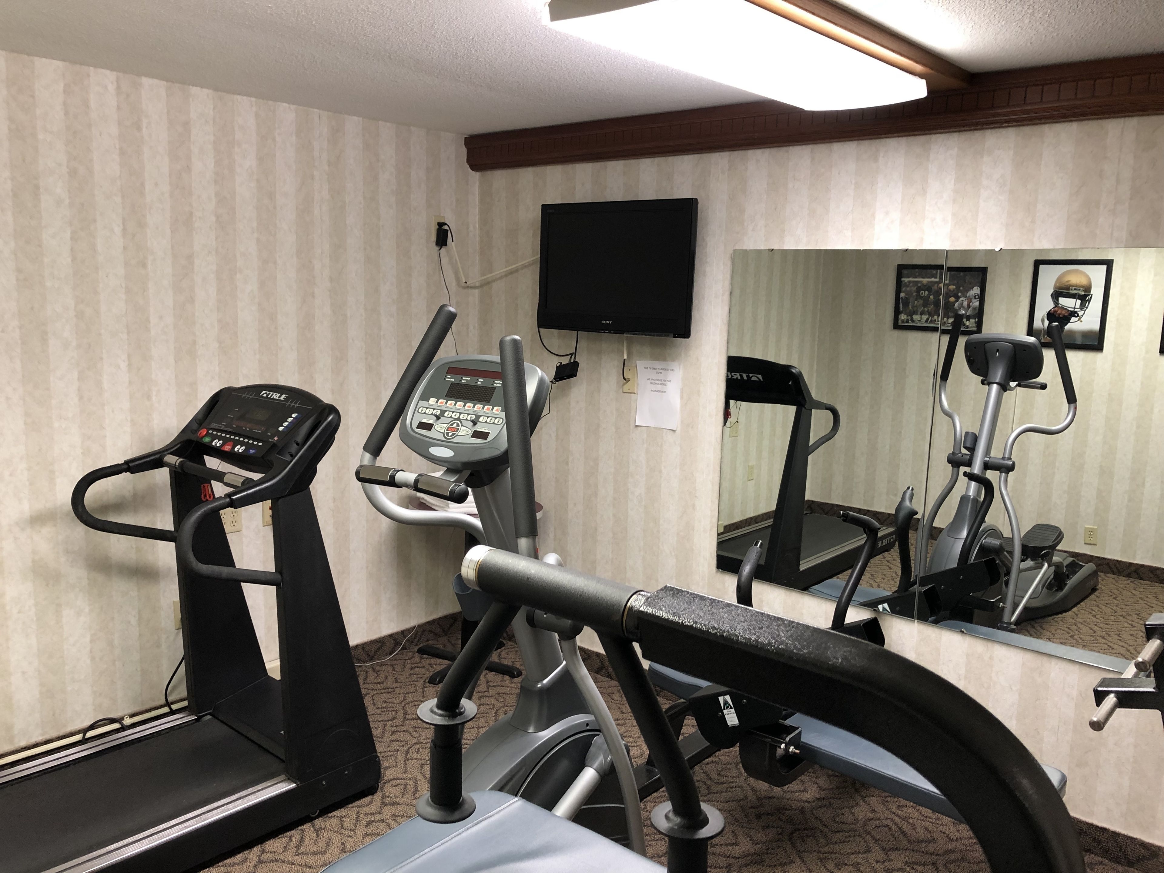 Un gimnasio con cintas de correr, elípticas y un espejo grande.