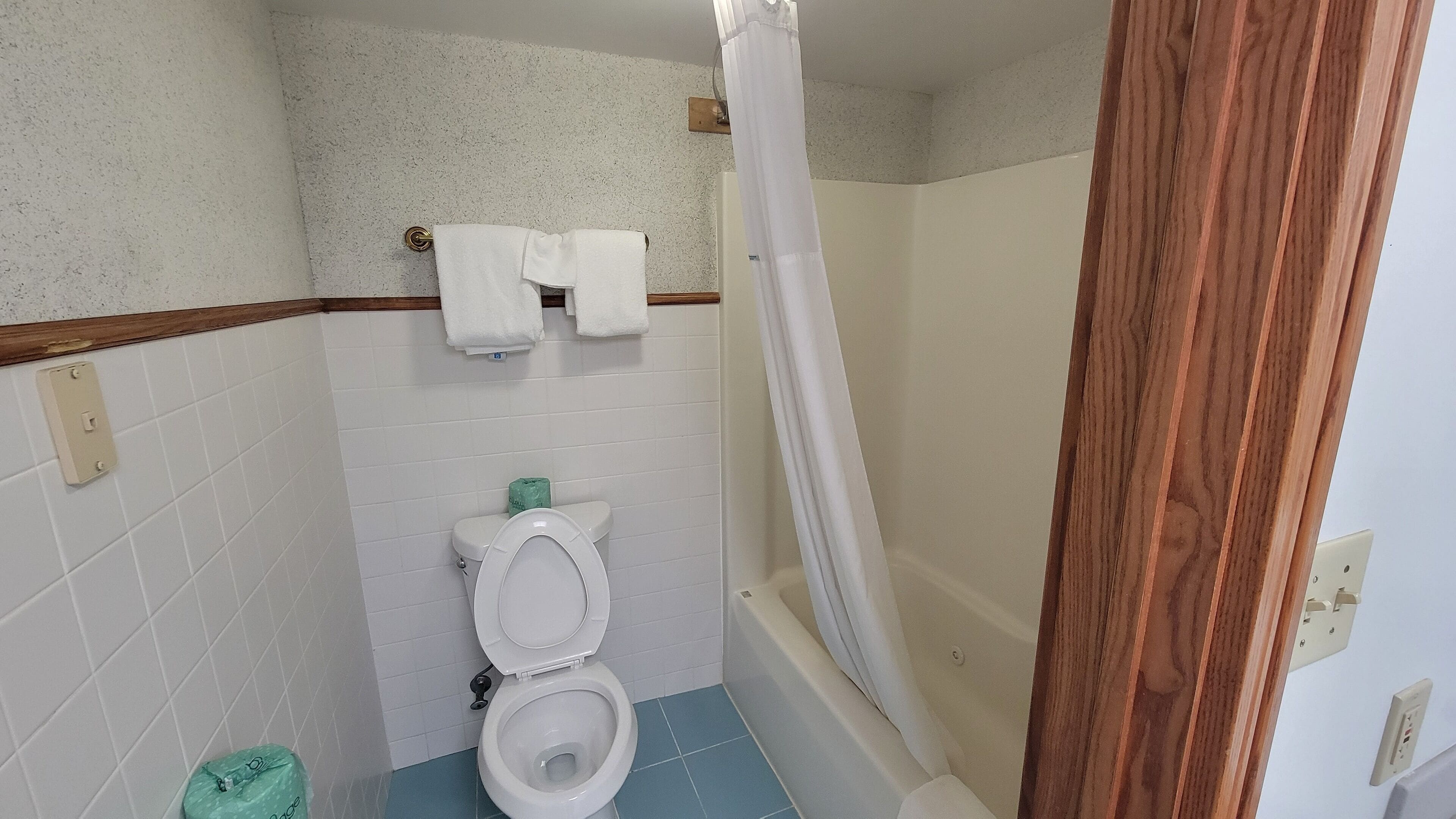 Une salle de bain avec des toilettes, un rideau de douche et un porte-serviettes.