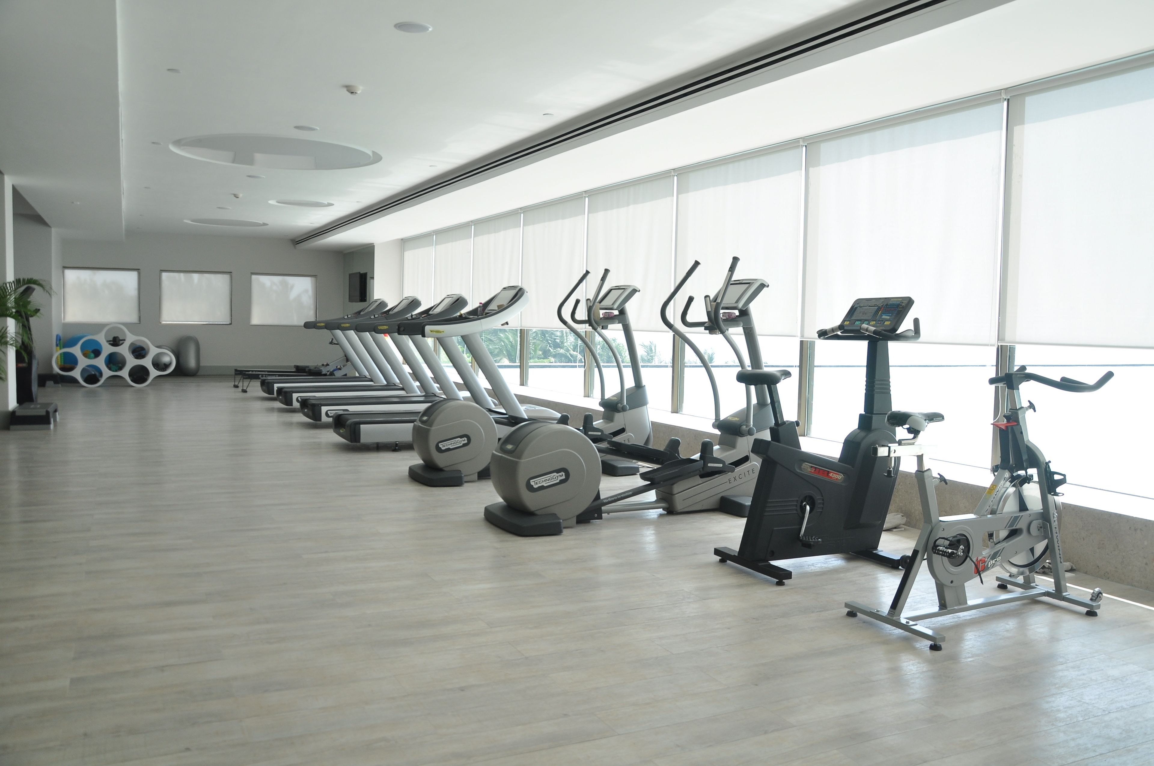 A gym with treadmills, elliptical machines, and stationary bikes arranged in rows.